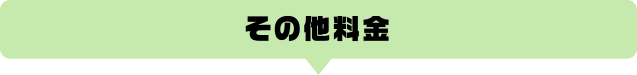 その他料金!