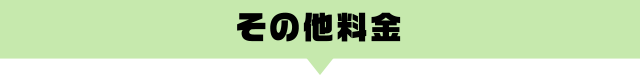 その他料金!